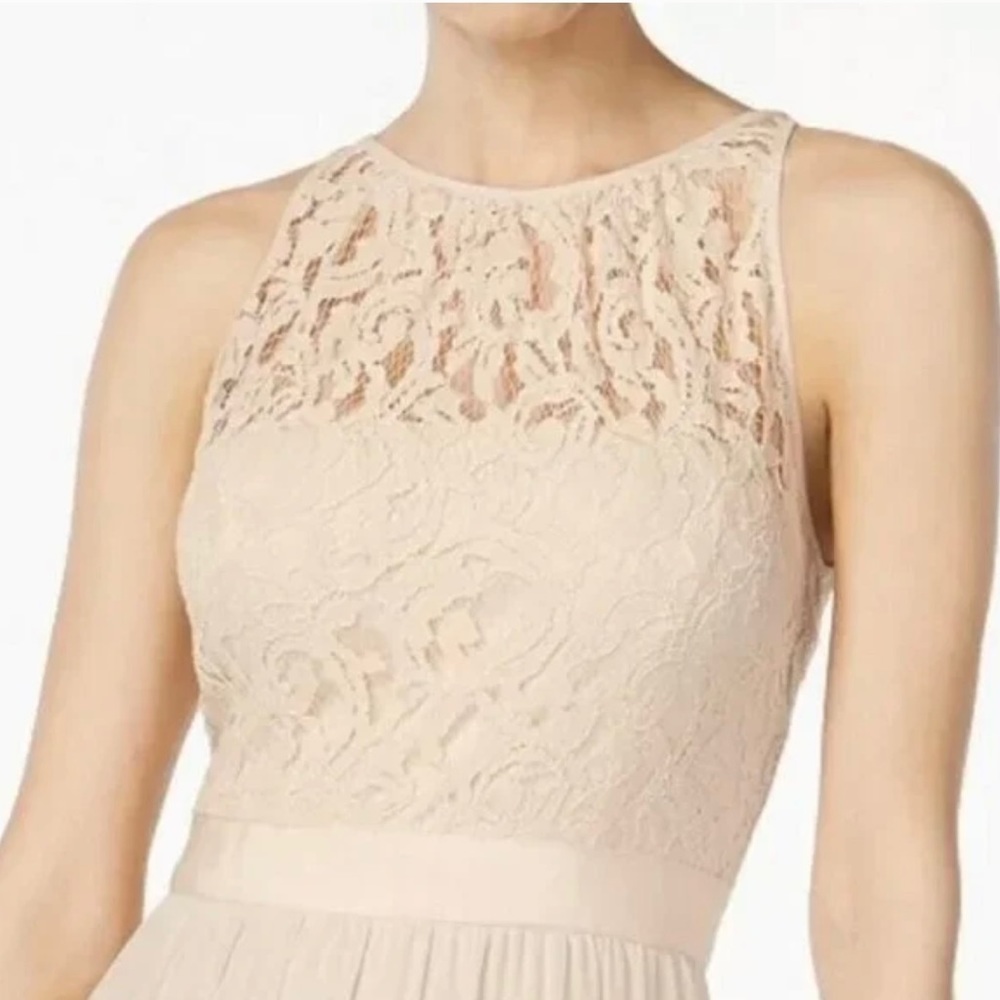 ADRIANNA PAPELL NWT LACE ILLUSION HALTER GOWN - Picture 2 of 11